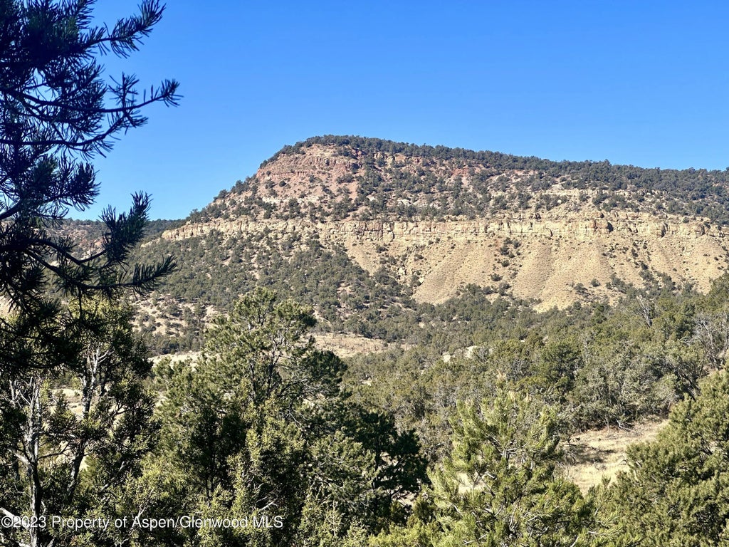11 of 16 - Tbd Cactus Park Road, Cedaredge, CO