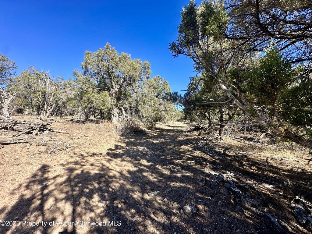13 of 16 - Tbd Cactus Park Road, Cedaredge, CO