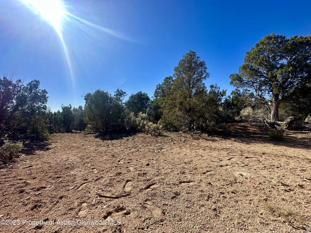 14 of 16 - Tbd Cactus Park Road, Cedaredge, CO