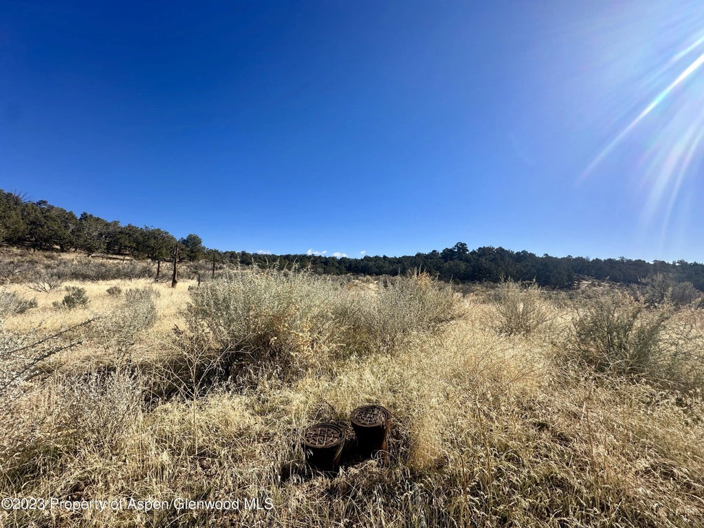 4 of 16 - Tbd Cactus Park Road, Cedaredge, CO