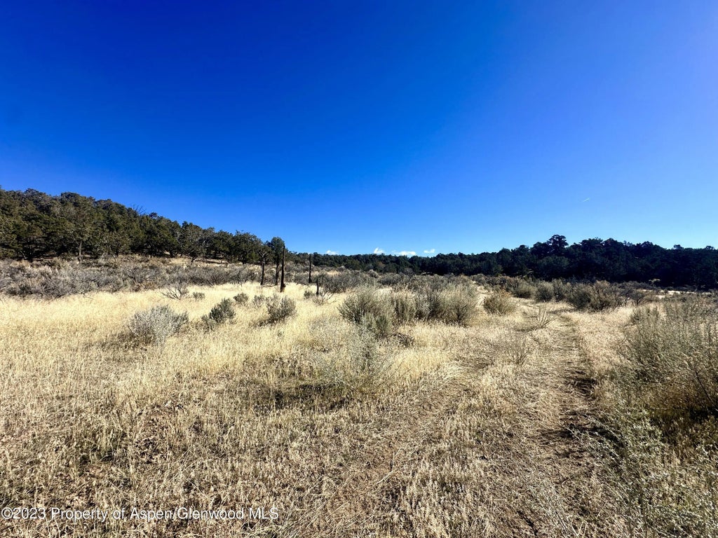 5 of 16 - Tbd Cactus Park Road, Cedaredge, CO