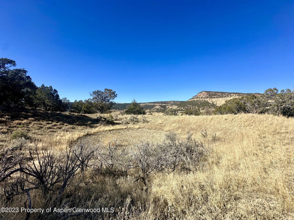 6 of 16 - Tbd Cactus Park Road, Cedaredge, CO