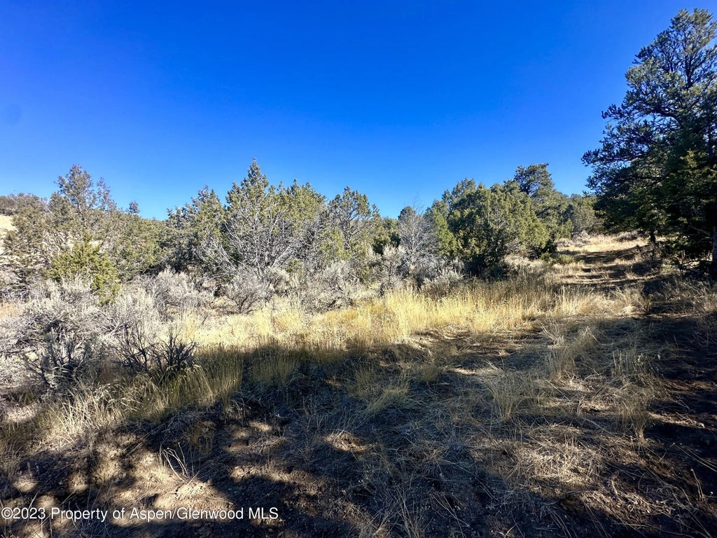 7 of 16 - Tbd Cactus Park Road, Cedaredge, CO