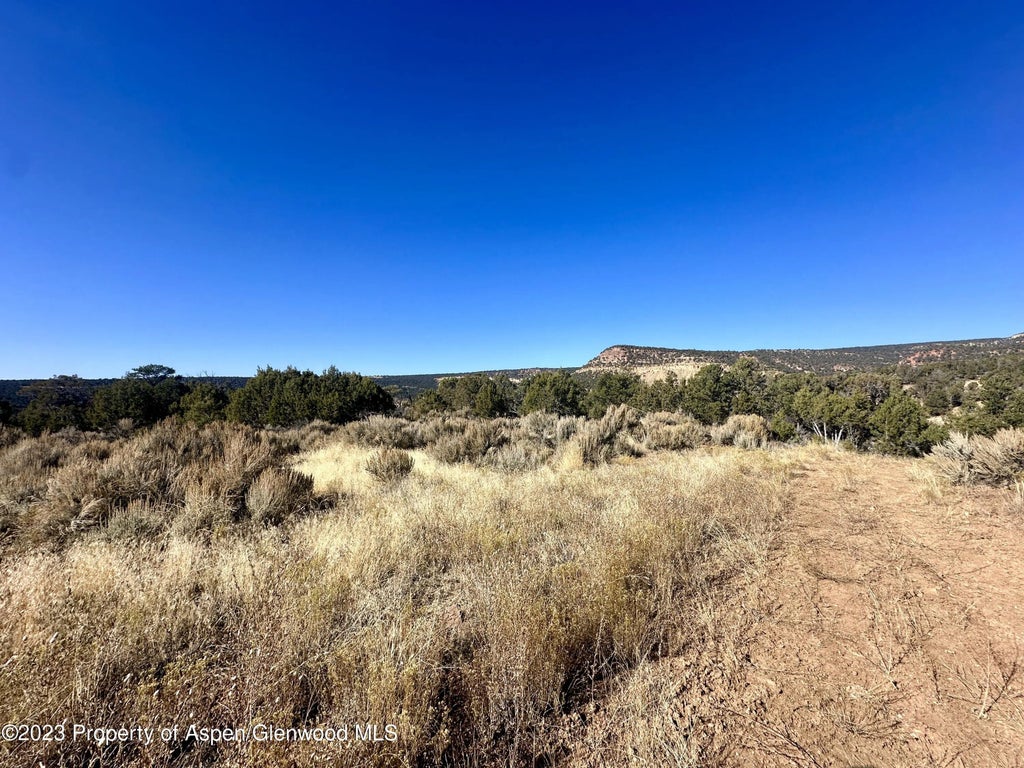 8 of 16 - Tbd Cactus Park Road, Cedaredge, CO