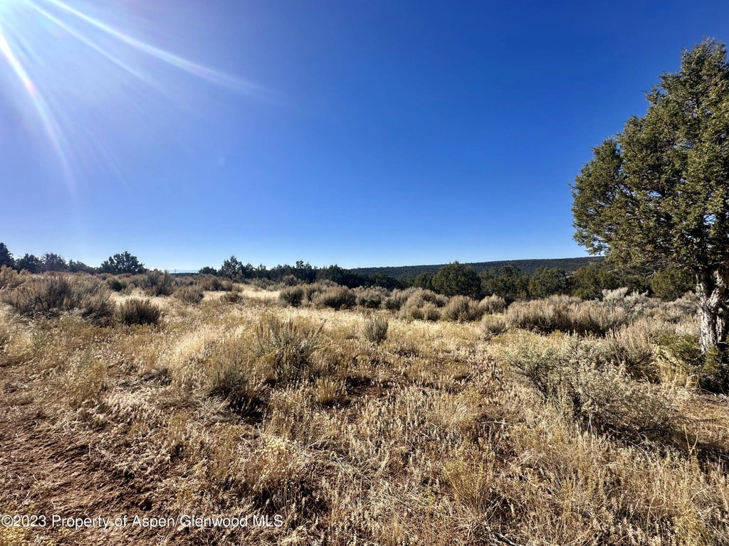 9 of 16 - Tbd Cactus Park Road, Cedaredge, CO