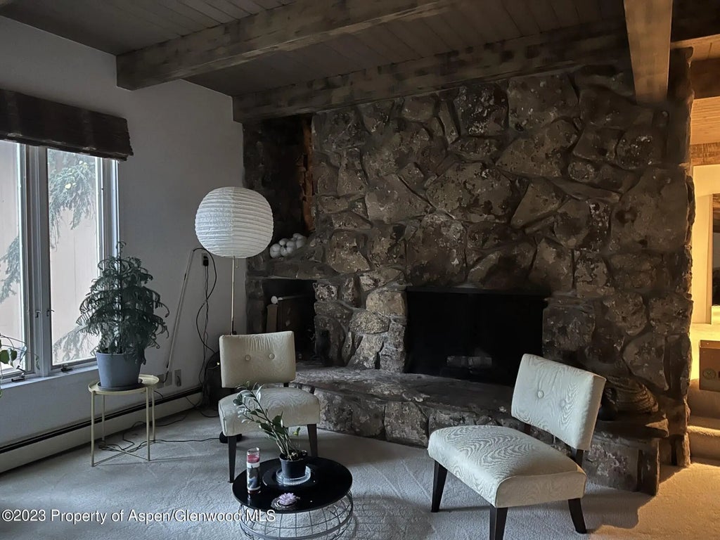3 of 20 - 651 S Monarch Street, Aspen, CO