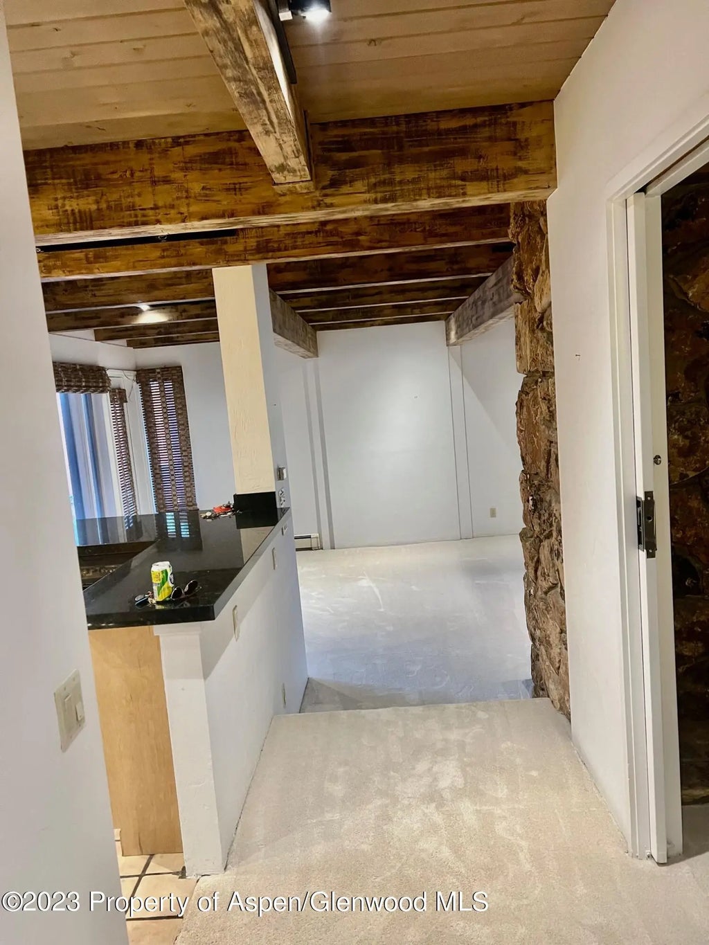 8 of 20 - 651 S Monarch Street, Aspen, CO