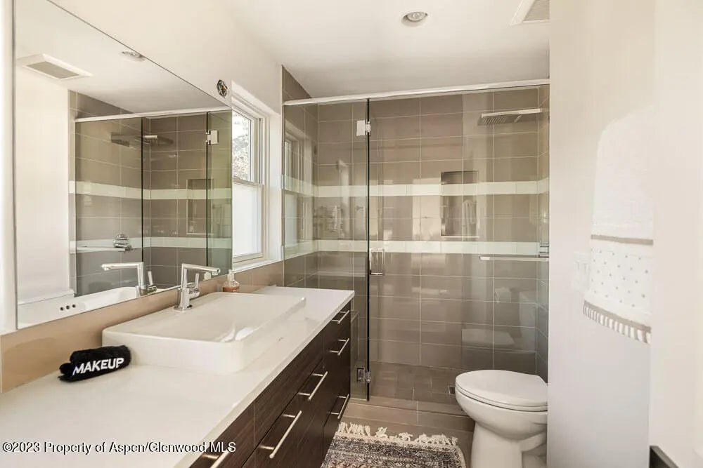 12 of 23 - 222 W Hopkins Avenue 6, Aspen, CO