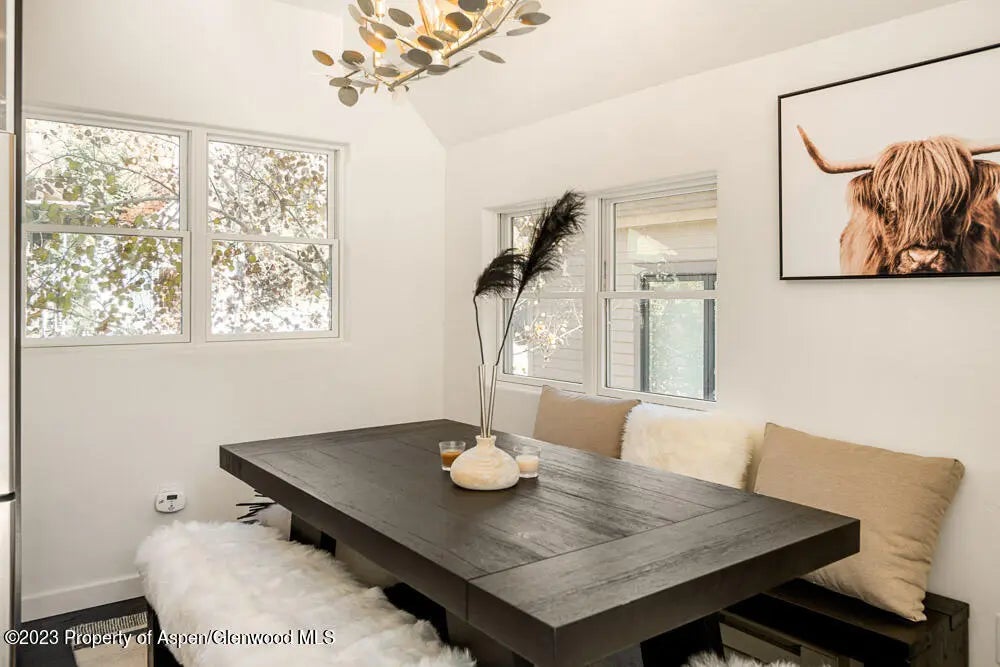 15 of 23 - 222 W Hopkins Avenue 6, Aspen, CO