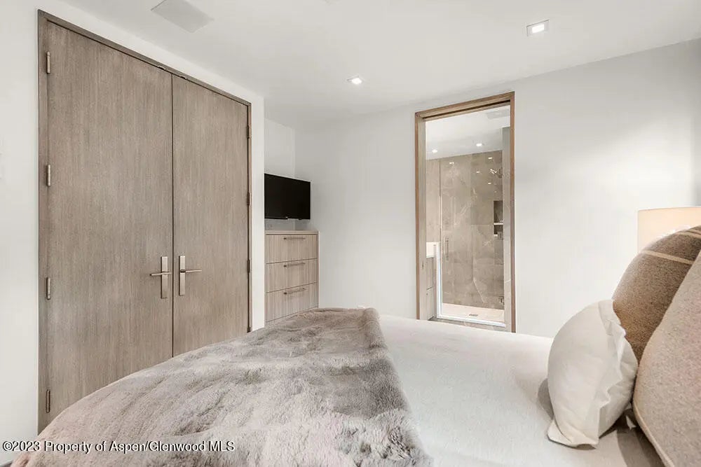 17 of 28 - 802 E Cooper #3, Aspen, CO