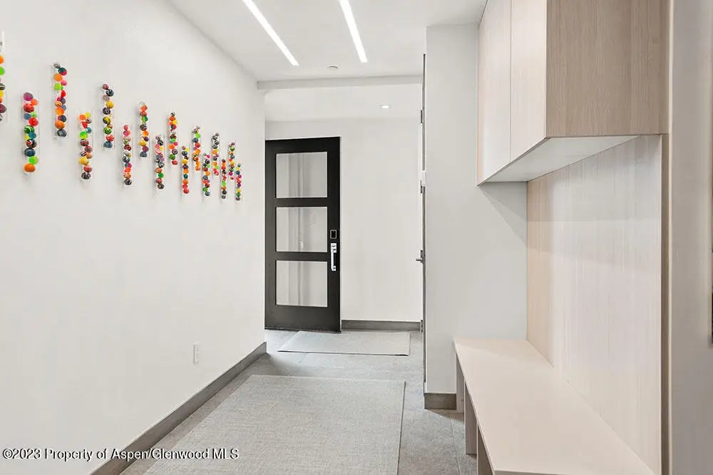 22 of 28 - 802 E Cooper #3, Aspen, CO