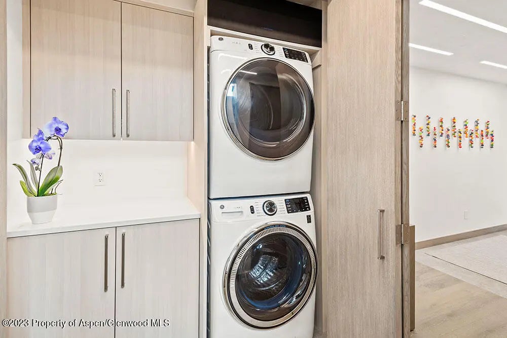 24 of 28 - 802 E Cooper #3, Aspen, CO