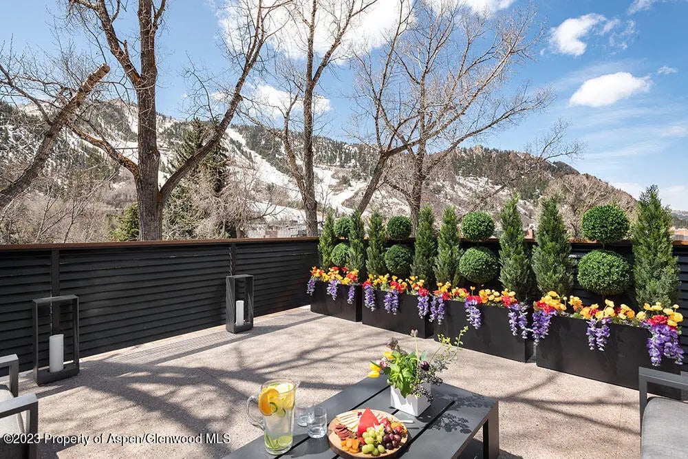 26 of 28 - 802 E Cooper #3, Aspen, CO