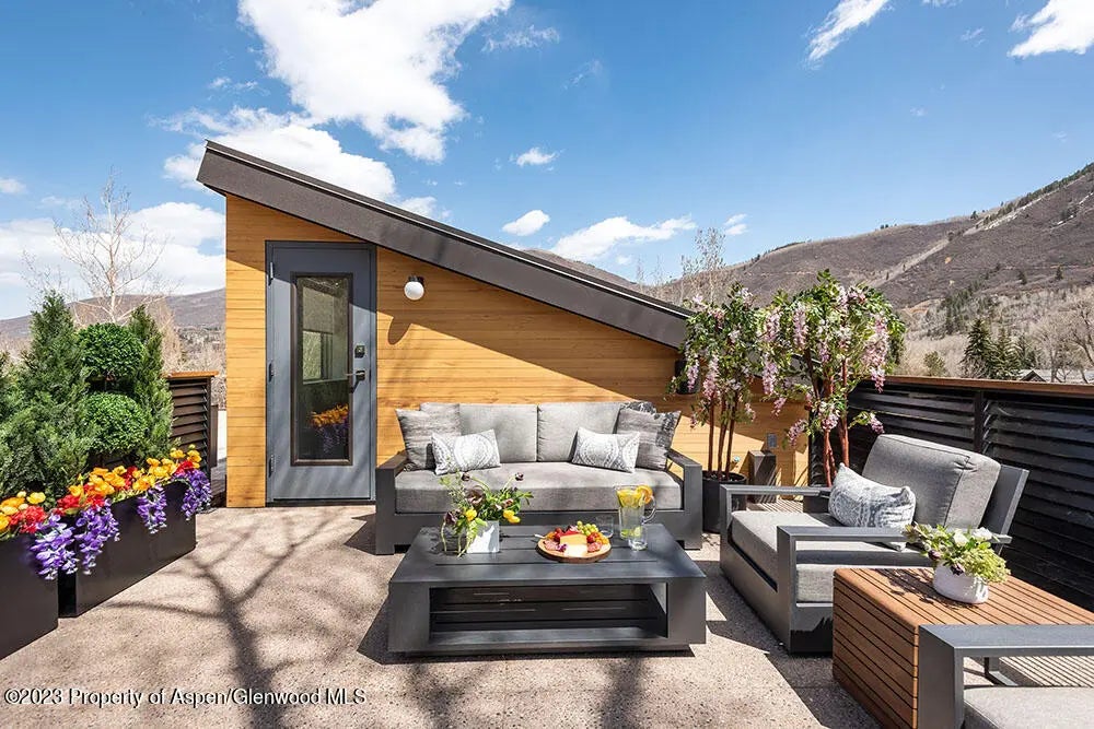 27 of 28 - 802 E Cooper #3, Aspen, CO