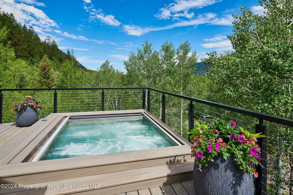 12 of 55 - 1271 Ute Avenue, Aspen, CO