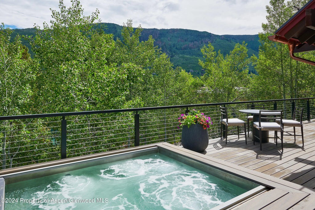 13 of 55 - 1271 Ute Avenue, Aspen, CO
