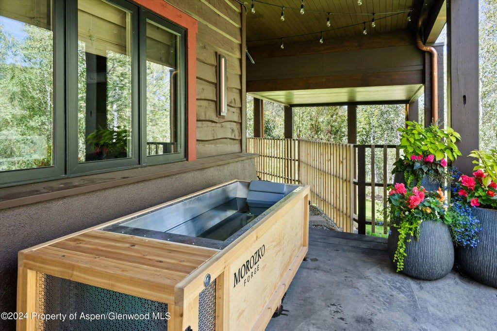 19 of 55 - 1271 Ute Avenue, Aspen, CO