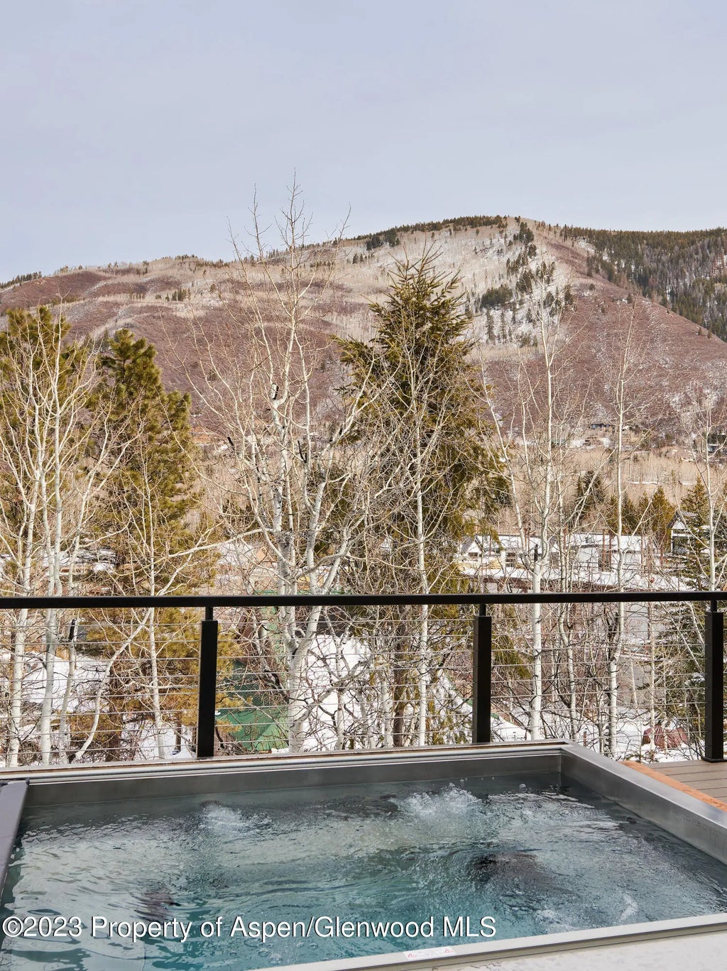 44 of 55 - 1271 Ute Avenue, Aspen, CO