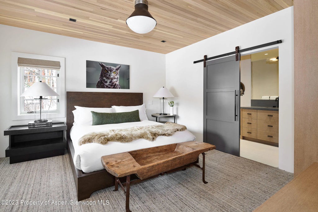 46 of 55 - 1271 Ute Avenue, Aspen, CO