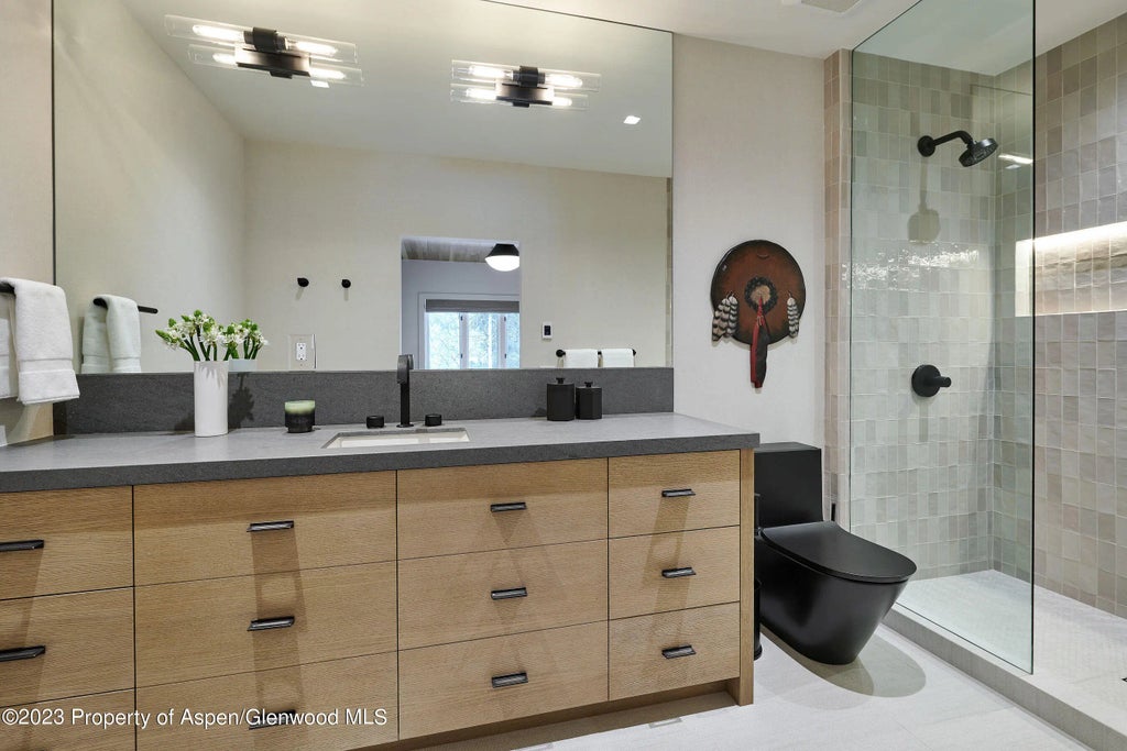 50 of 55 - 1271 Ute Avenue, Aspen, CO