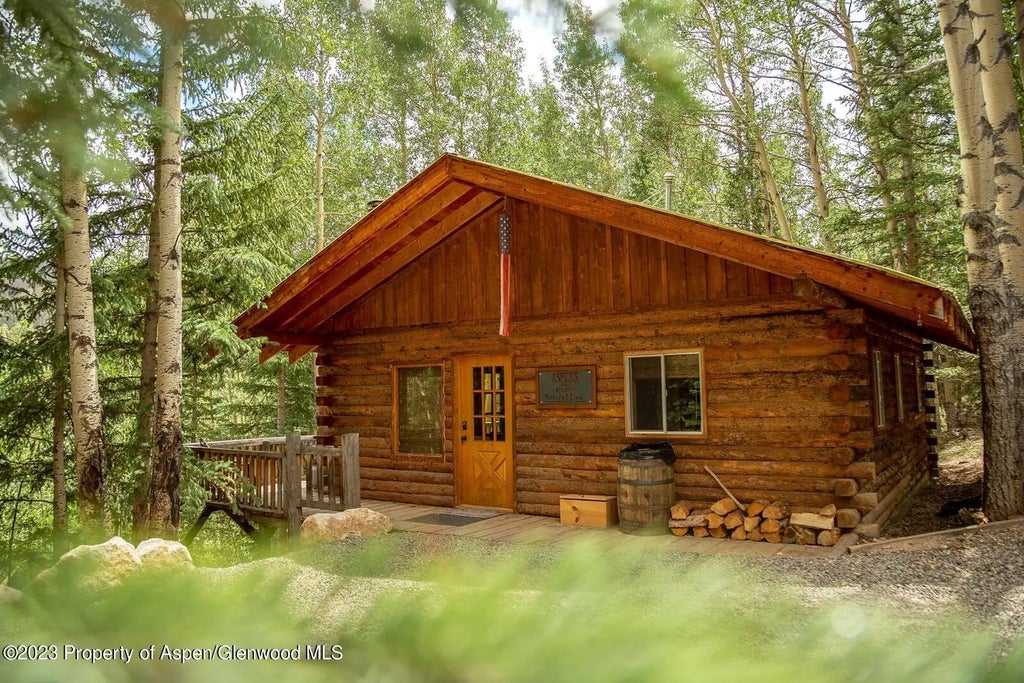 13 of 22 - 1001 County Road 17, Lake City, CO