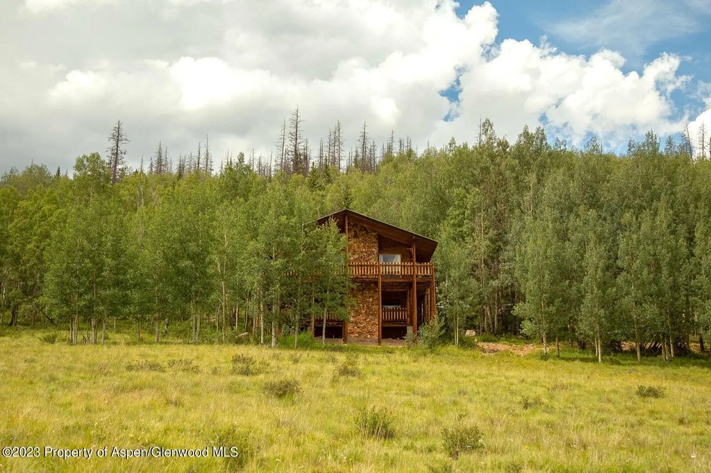 14 of 22 - 1001 County Road 17, Lake City, CO