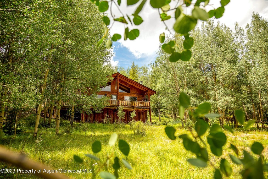 5 of 22 - 1001 County Road 17, Lake City, CO
