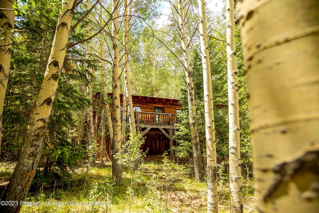 6 of 22 - 1001 County Road 17, Lake City, CO