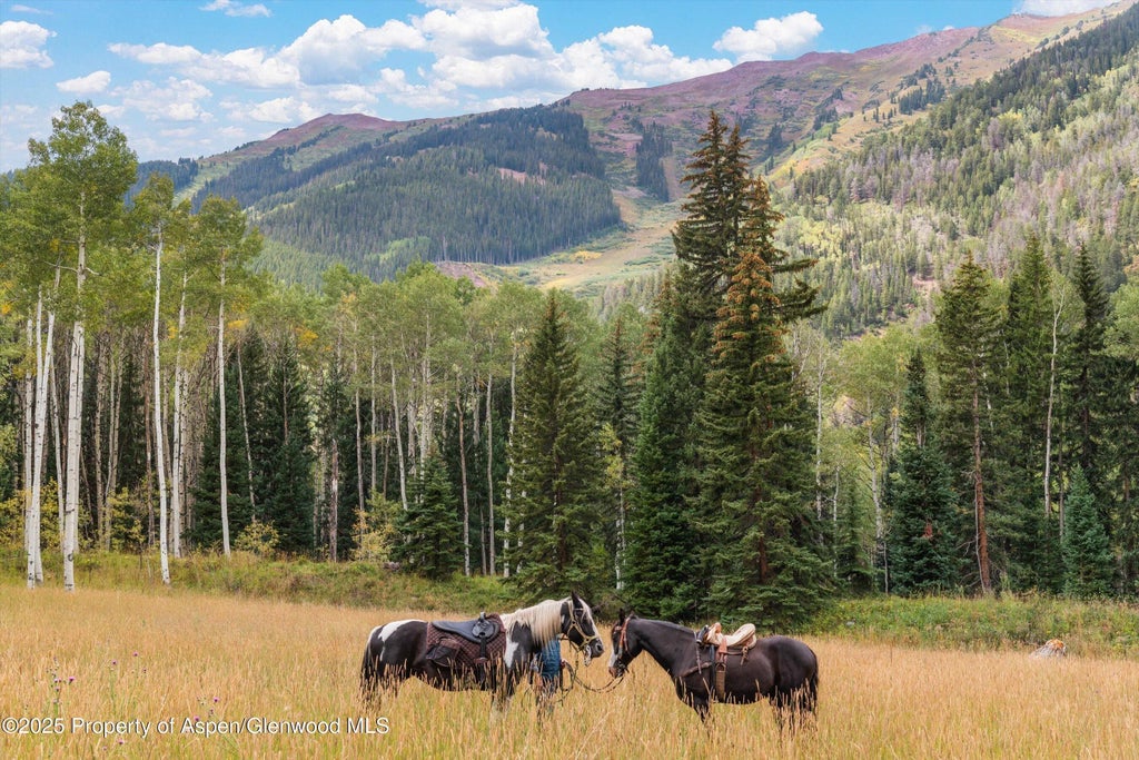 1 of 21 - Tbd Conundrum Creek Road, Aspen, CO