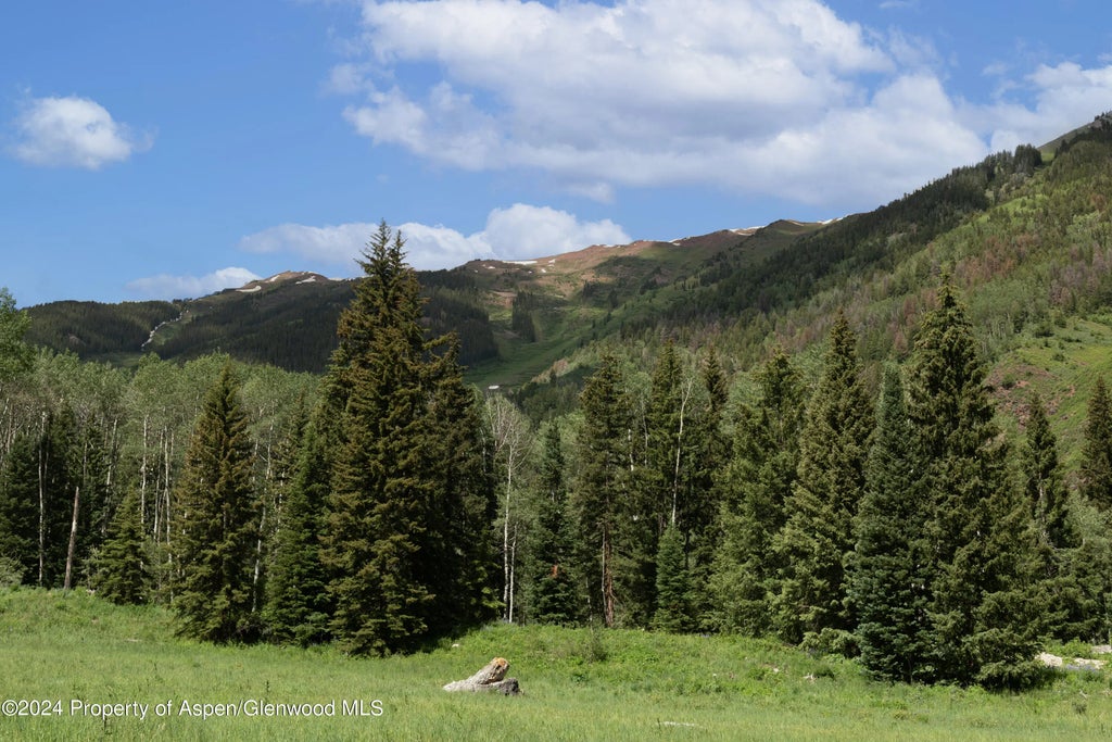 3 of 21 - Tbd Conundrum Creek Road, Aspen, CO
