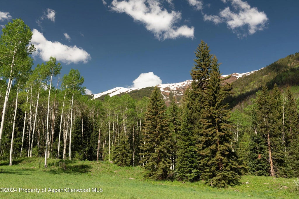 5 of 21 - Tbd Conundrum Creek Road, Aspen, CO