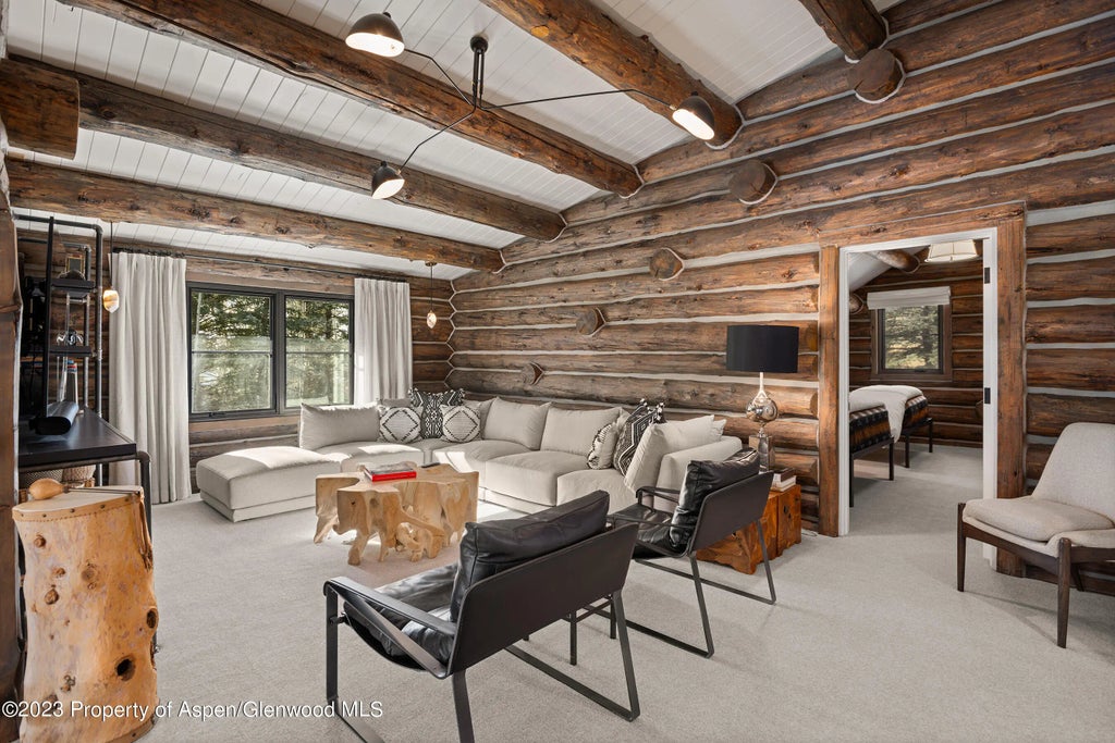 6 of 22 - 103 Alexander Avenue, Snowmass, CO