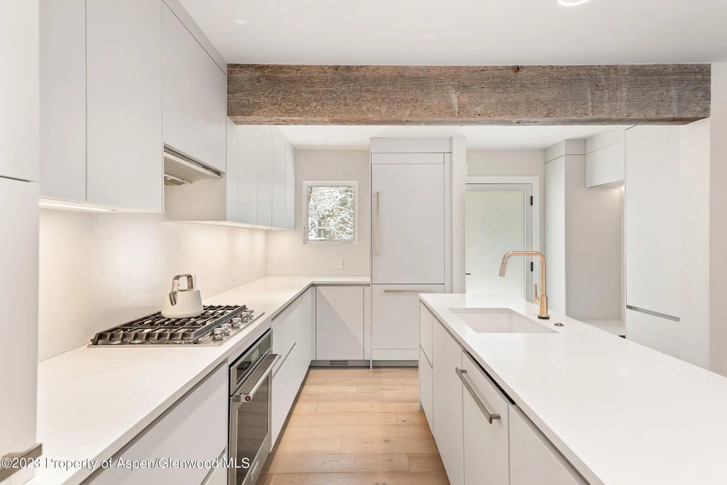 8 of 25 - 814 W Bleeker Street C4, Aspen, CO