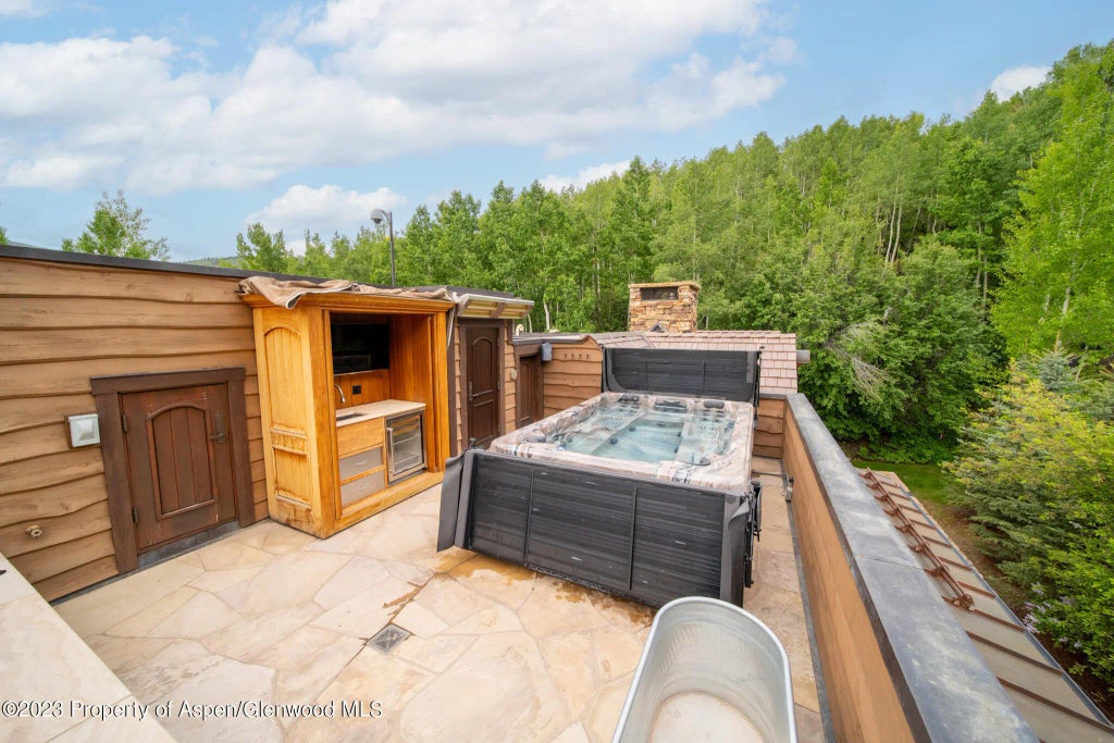 101 of 102 - 928 S Mill Street, Aspen, CO