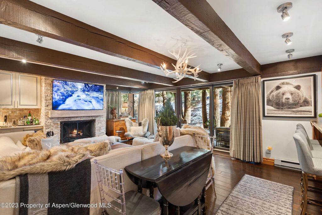 1034 E Cooper Avenue 4a, Aspen