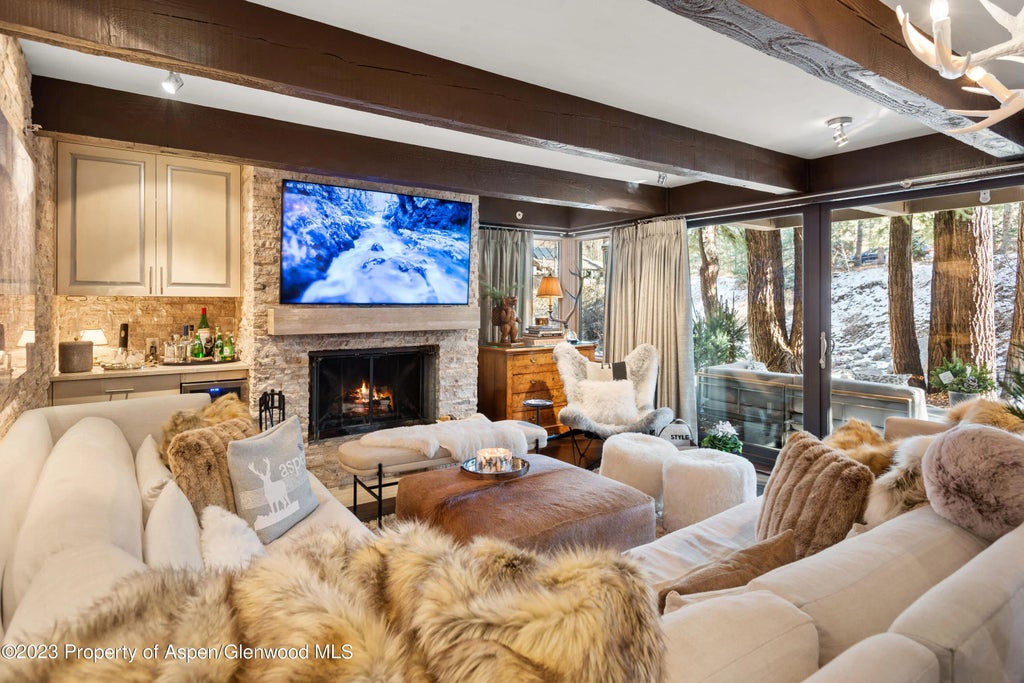 1 of 22 - 1034 E Cooper Avenue 4a, Aspen, CO