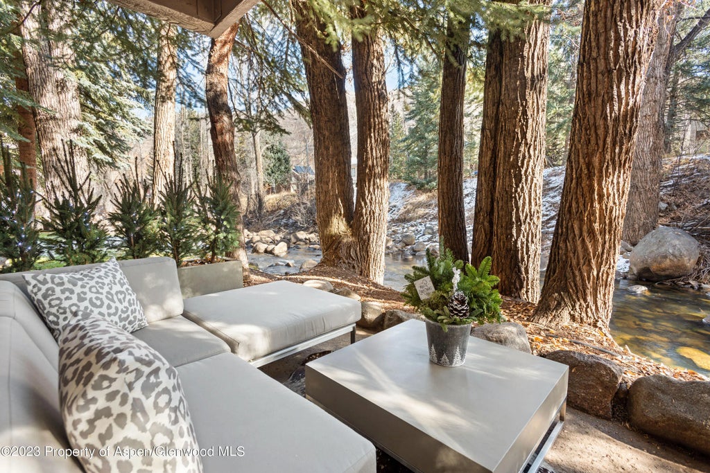 10 of 22 - 1034 E Cooper Avenue 4a, Aspen, CO