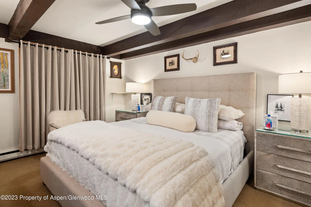 12 of 22 - 1034 E Cooper Avenue 4a, Aspen, CO