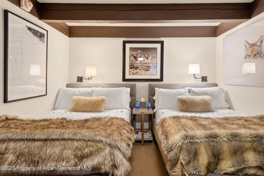 18 of 22 - 1034 E Cooper Avenue 4a, Aspen, CO