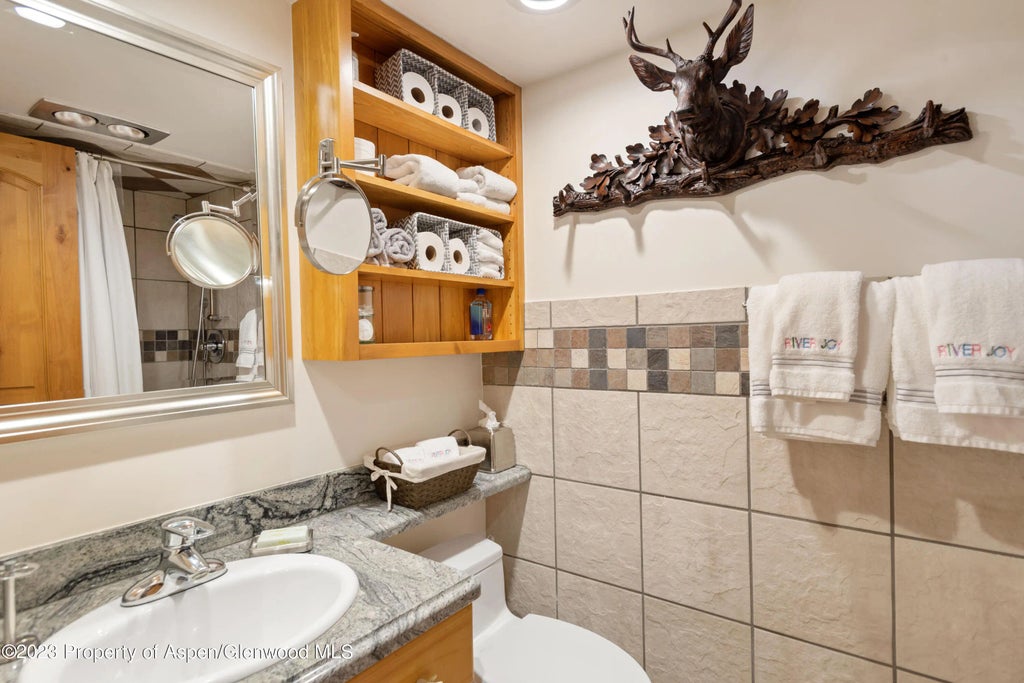 19 of 22 - 1034 E Cooper Avenue 4a, Aspen, CO