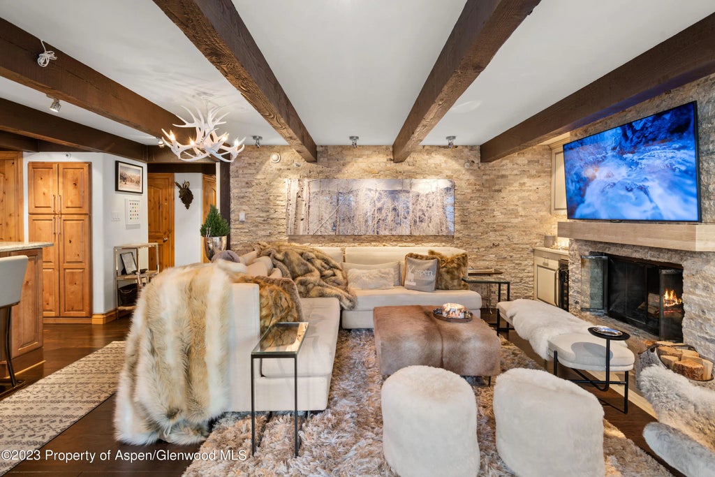 4 of 22 - 1034 E Cooper Avenue 4a, Aspen, CO