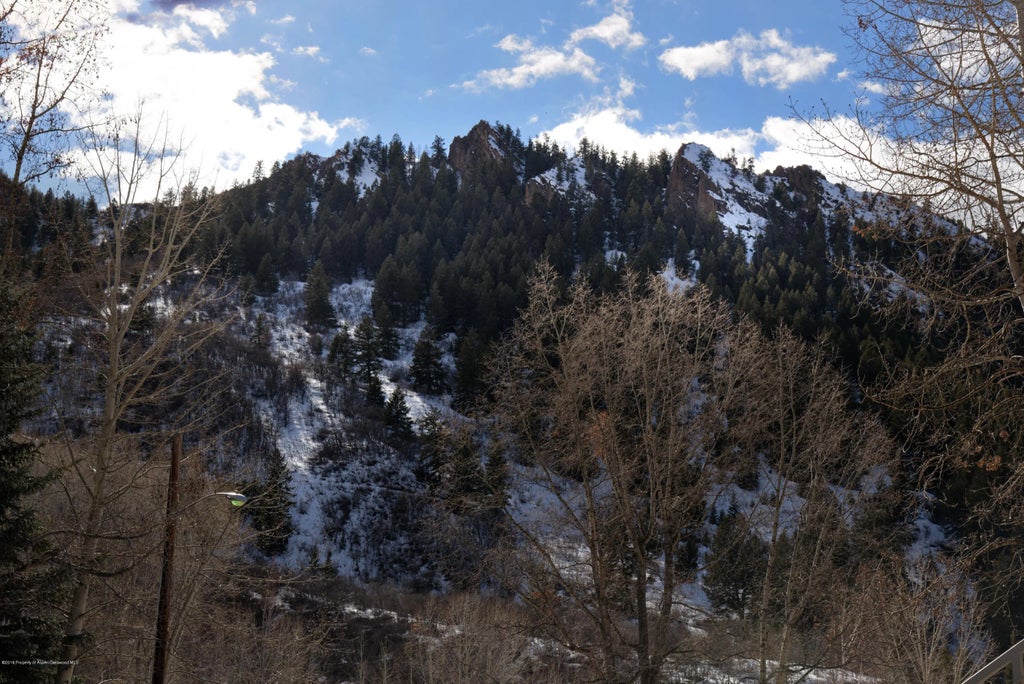 19 of 20 - 100 E Cooper Avenue #3, Aspen, CO