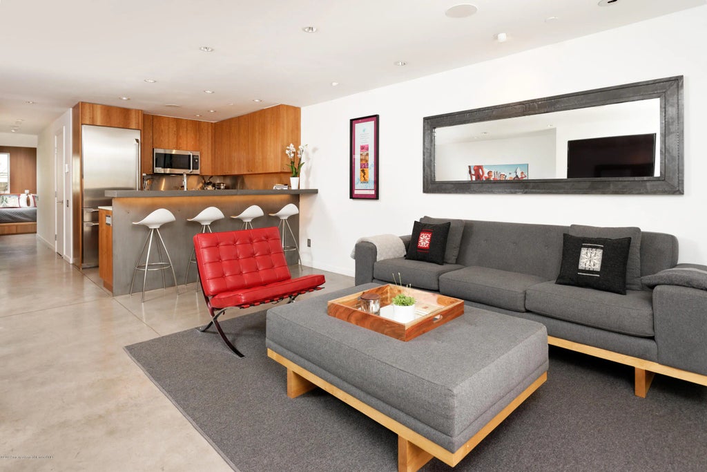 5 of 20 - 100 E Cooper Avenue #3, Aspen, CO