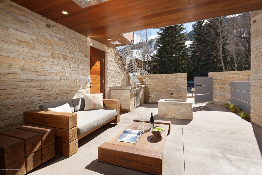 6 of 20 - 100 E Cooper Avenue #3, Aspen, CO