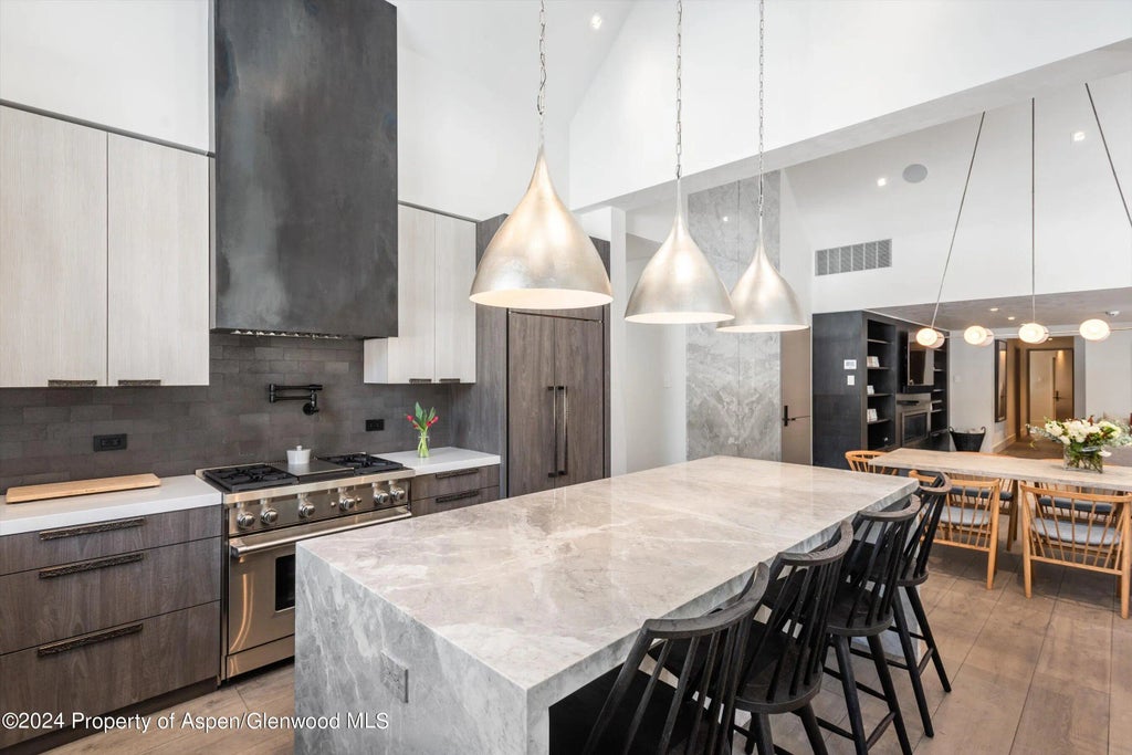 8 of 22 - 131 W Bleeker Street, Aspen, CO
