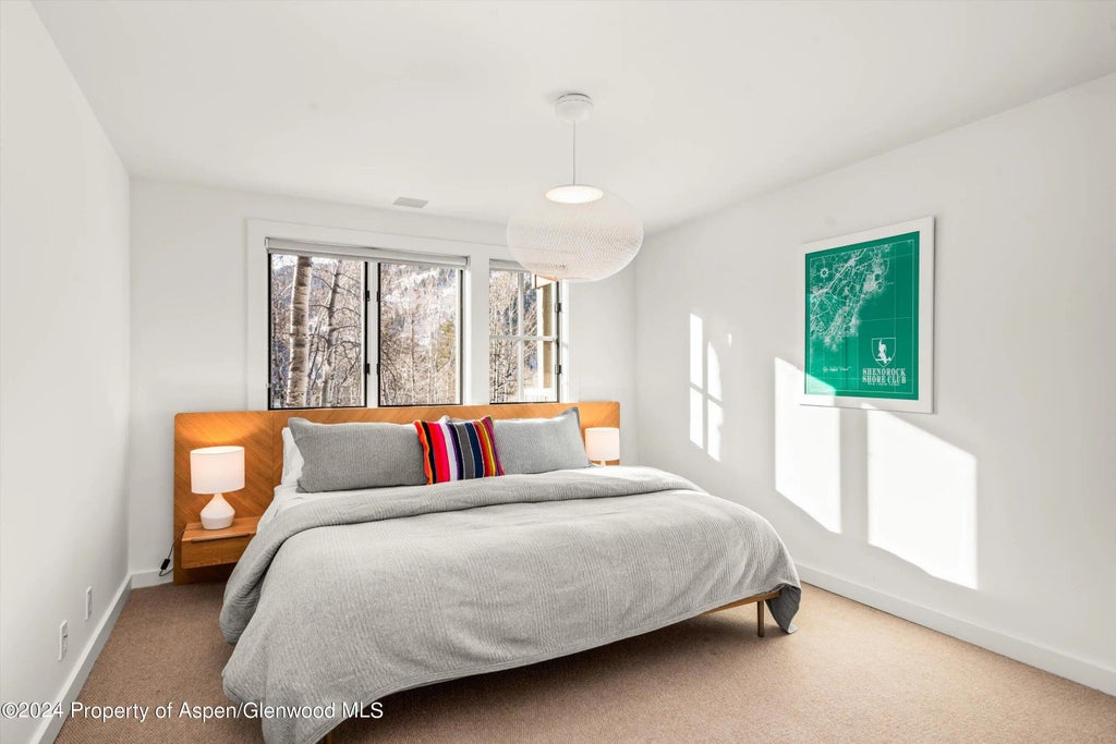 20 of 31 - 449 Mountain Laurel Drive #4, Aspen, CO