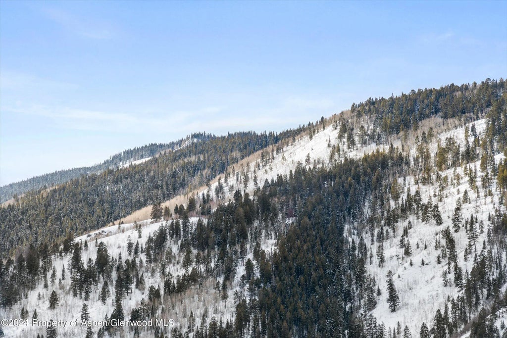 28 of 31 - 449 Mountain Laurel Drive #4, Aspen, CO