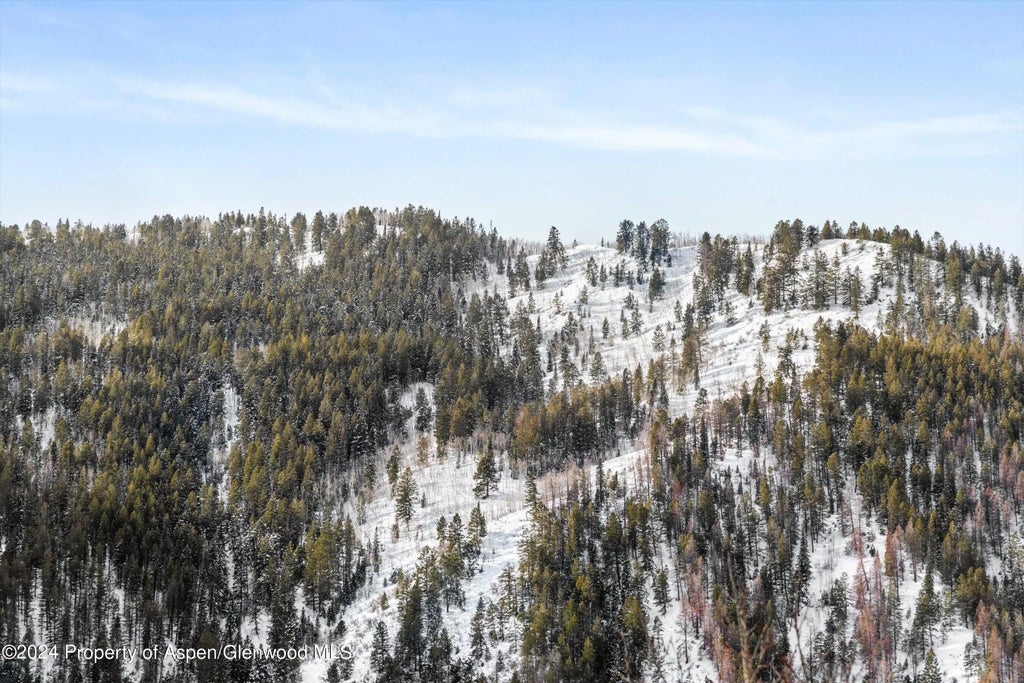 29 of 31 - 449 Mountain Laurel Drive #4, Aspen, CO