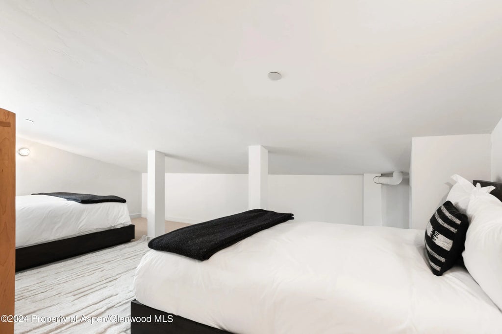 24 of 36 - 700 Nell Erickson Road, Aspen, CO