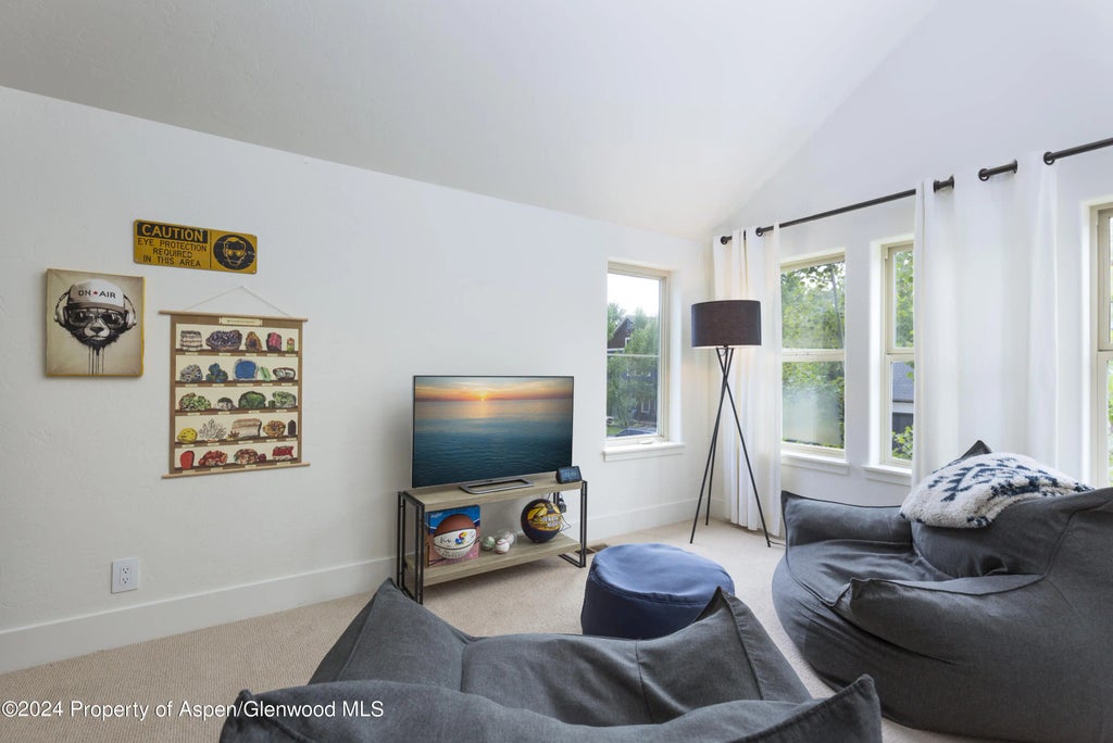 21 of 31 - 405 Meadow Court, Basalt, CO